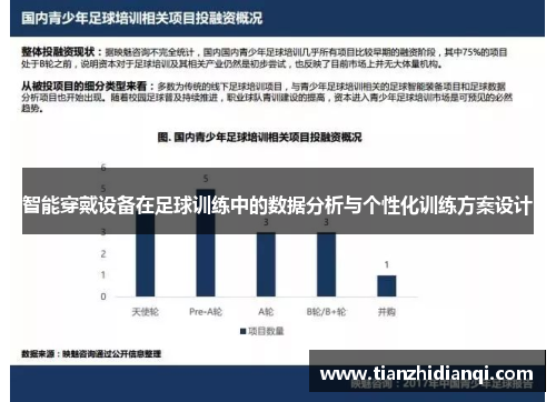 智能穿戴设备在足球训练中的数据分析与个性化训练方案设计